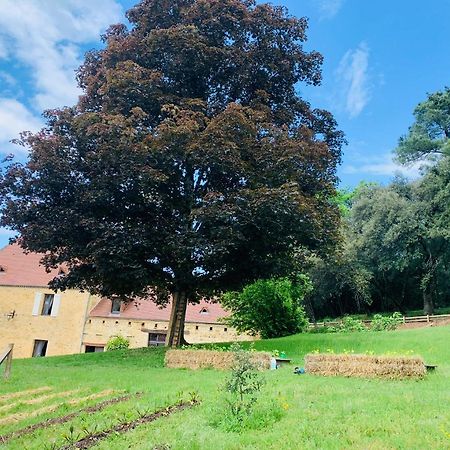 L'Ecrin Des Symes Villa Simeyrols Buitenkant foto